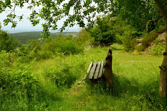 尤其是在快 尤其是在快