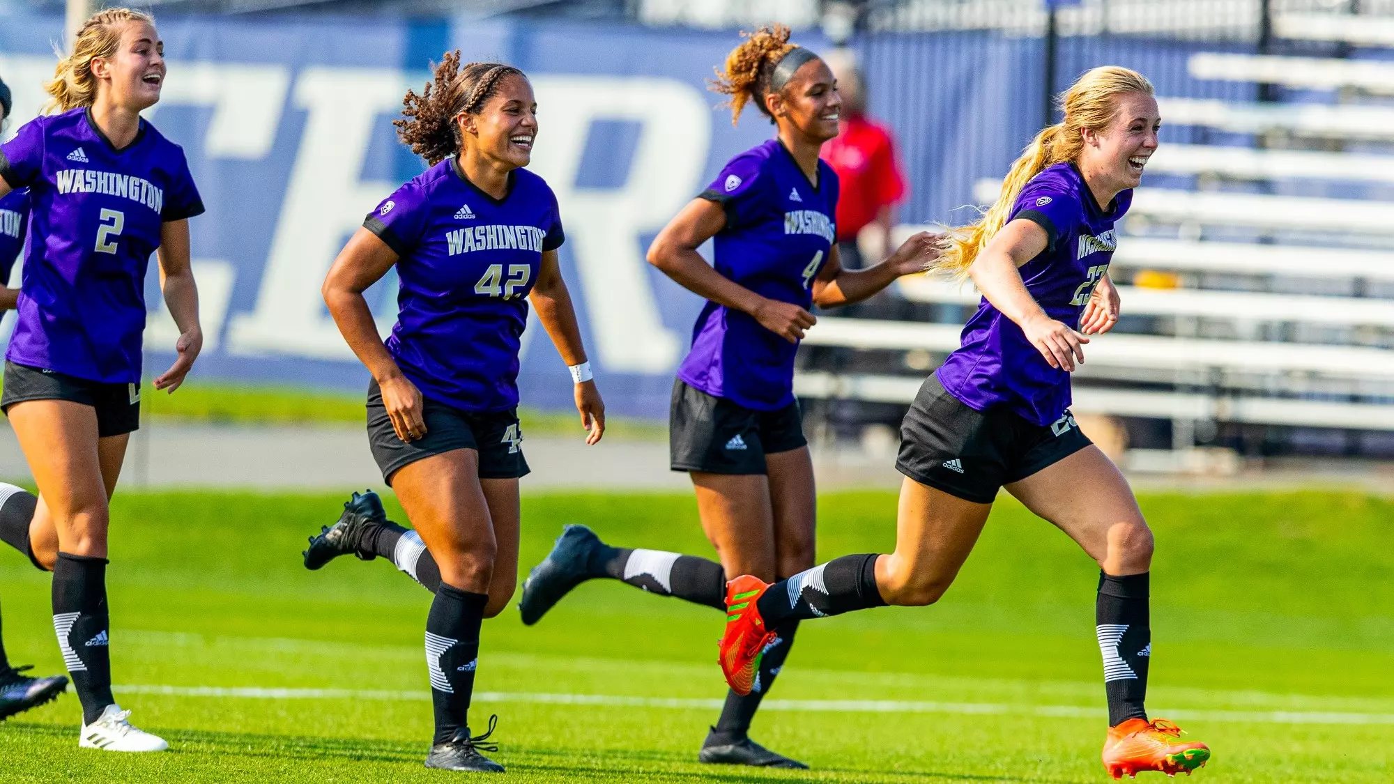 一系列政策 一系列政策