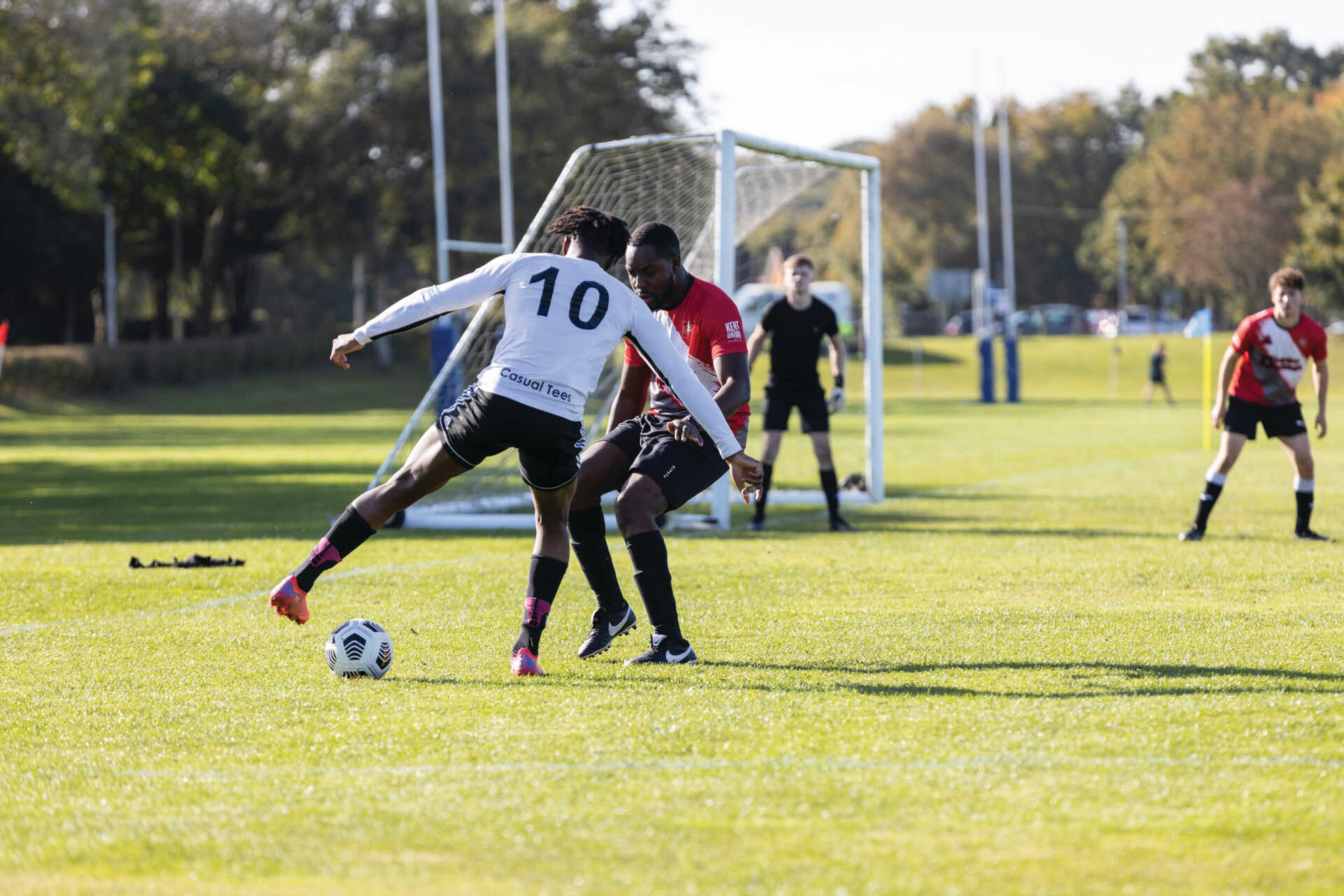 择方面投入 择方面投入