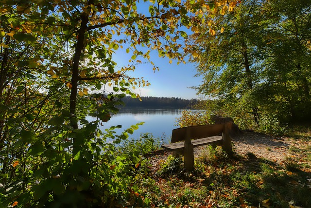裁判生涯 裁判生涯
